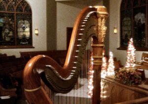 Harp Player New Harmony Indiana