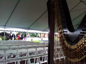 South Haven MI Harpist