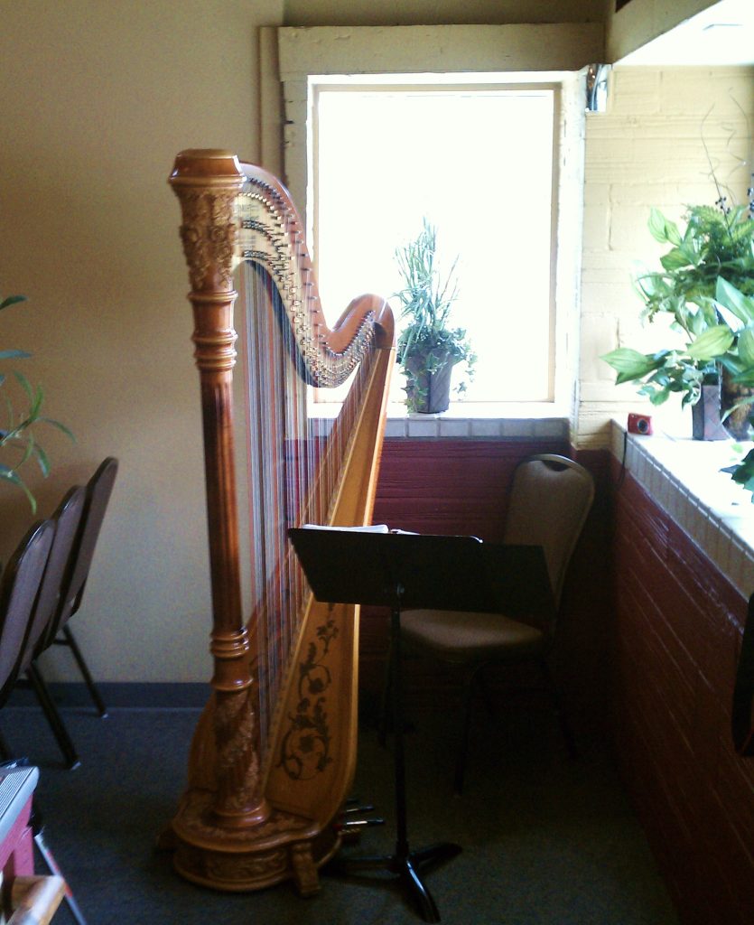 Wedding Harp Player South Bend