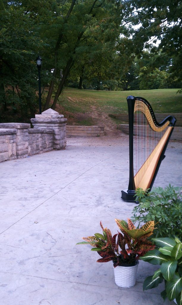 Springfield Illinois Harpist