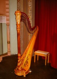 Valparaiso Harpist