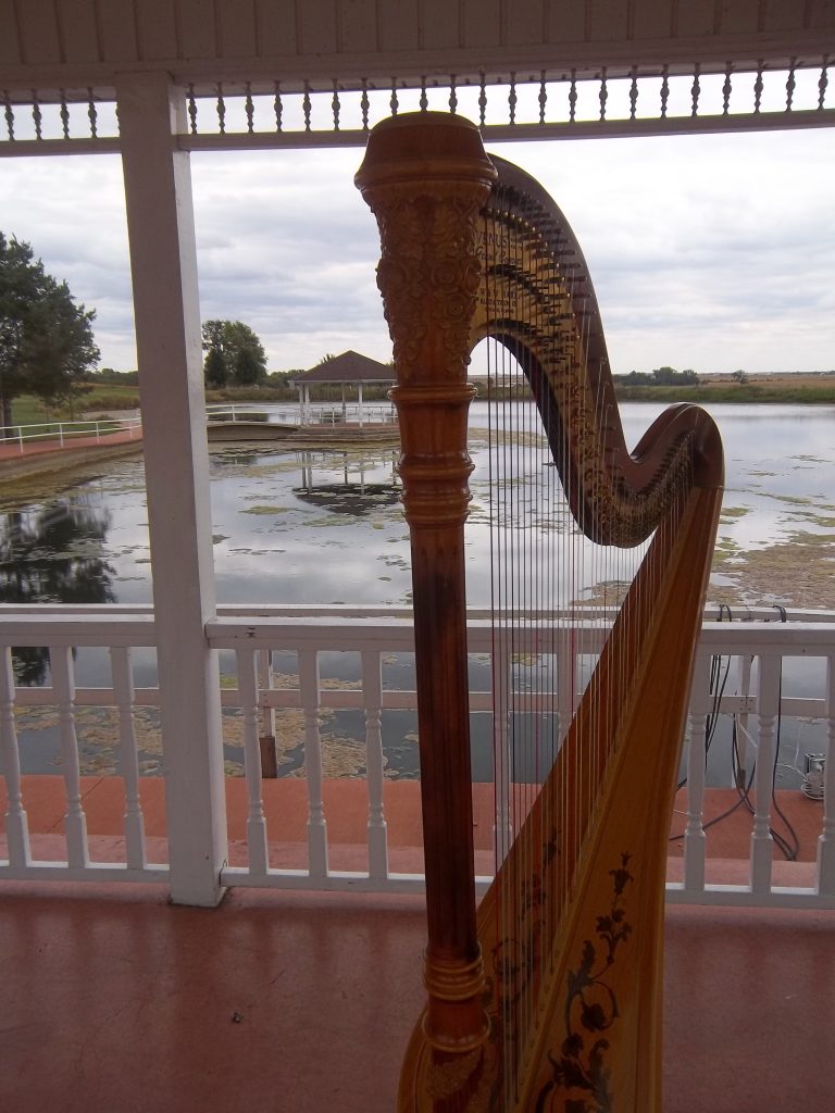 Wedding Harpist in Peoria