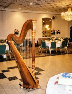 Chicago Harpist for Events