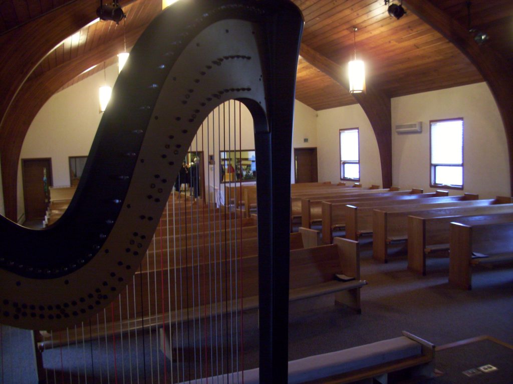 Northern Indiana Harpist