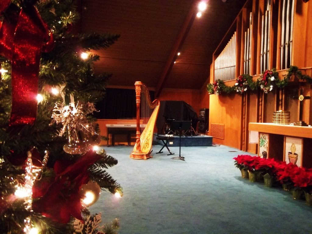 Eastern Illinois Harpist