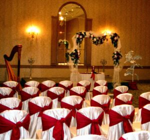Chicago Wedding Ceremony Harpist