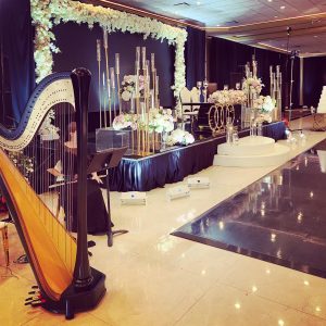 Napoleon OH Harpist