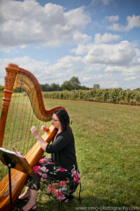 Harpist at Willow Harbor Vineyard