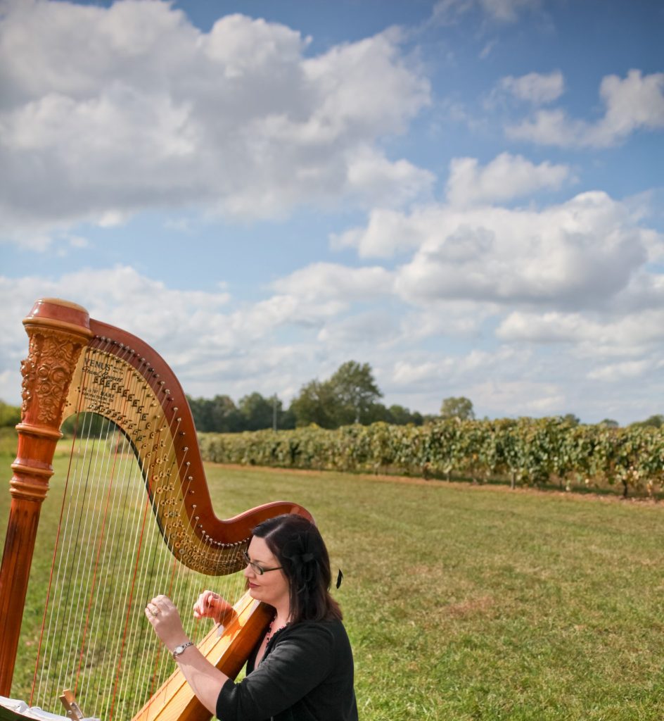 Wedding Harpist Southwest Michigan