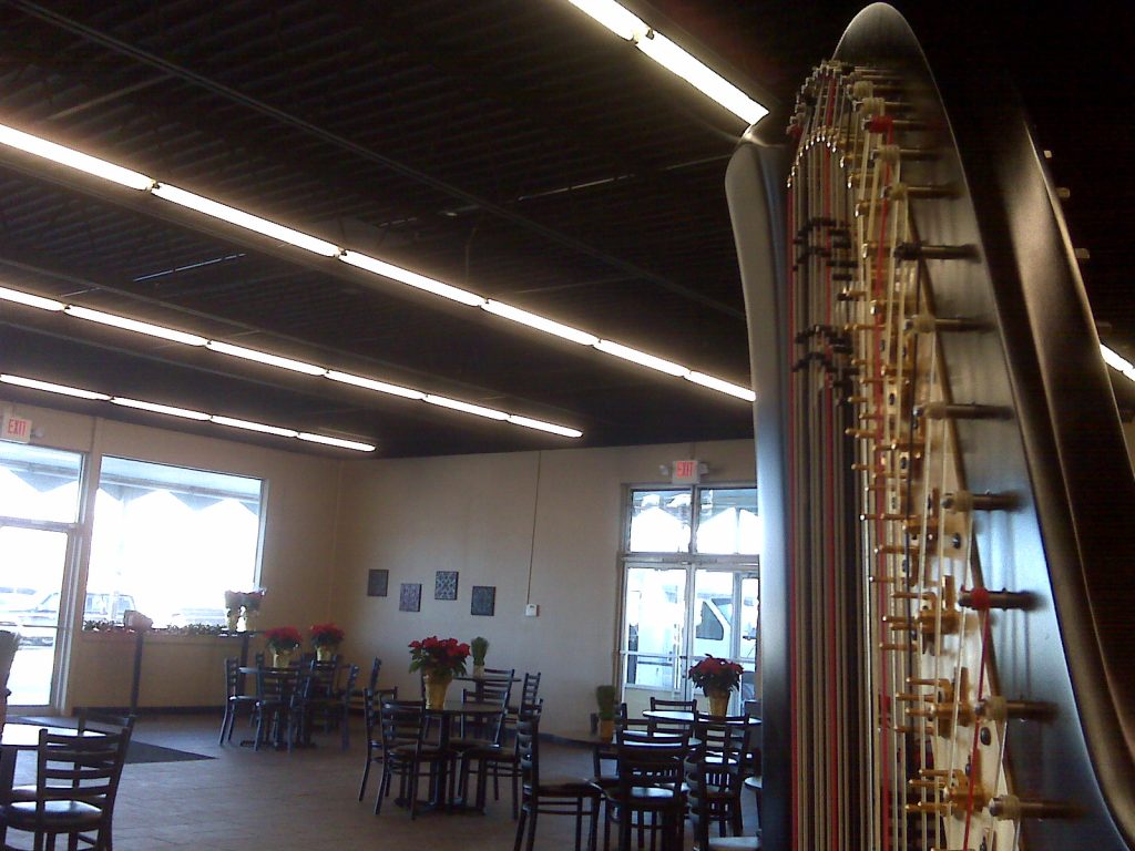 Plymouth Indiana Harpist