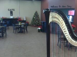 Harpist in Northern Indiana