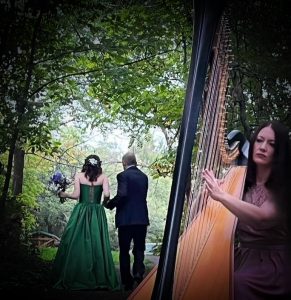Washington IA Harpist