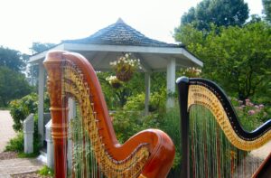 Harp Duo for a Wedding