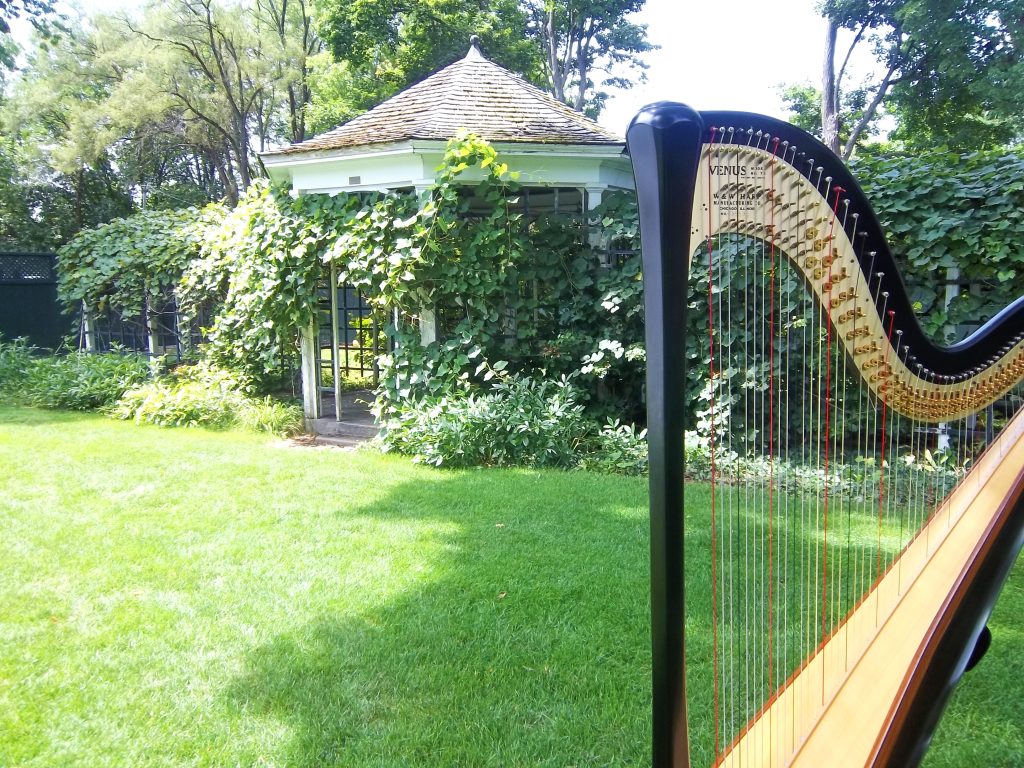 Harpist in South Bend