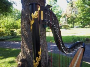 Wedding Musicians in South Bend
