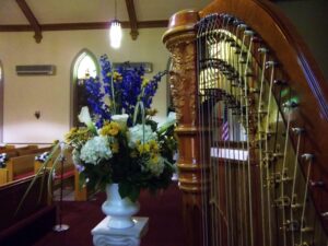Northern Illinois Wedding Harpist