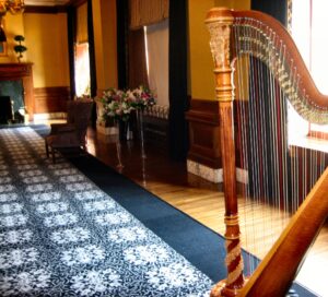 Grand Rapids Wedding Harpist