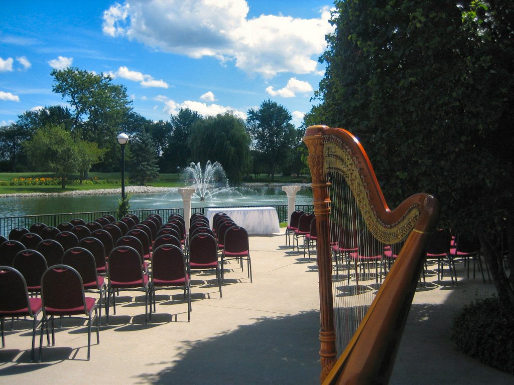 Chicago Wedding Harpist