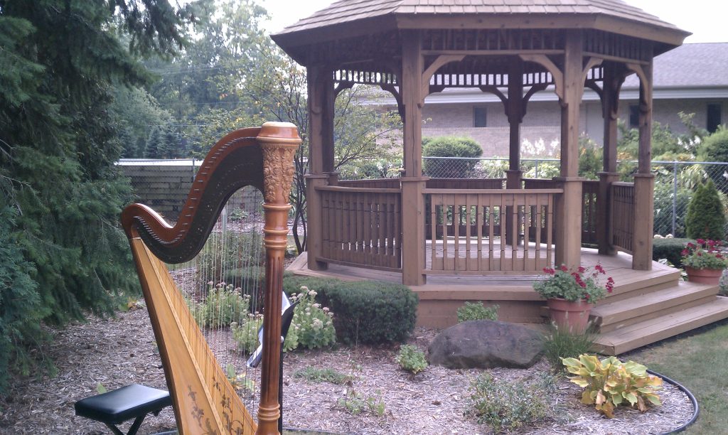 Kalamazoo Harpist