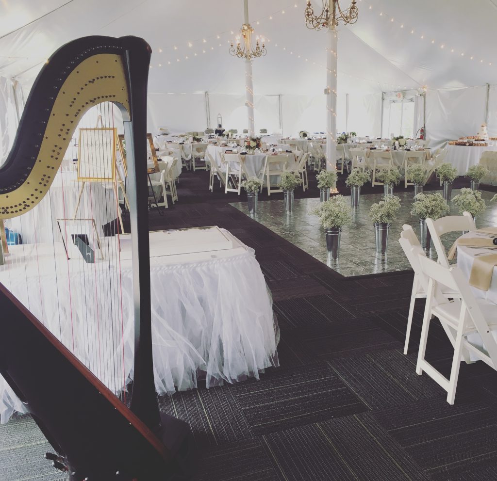 Wedding Musicians Springfield