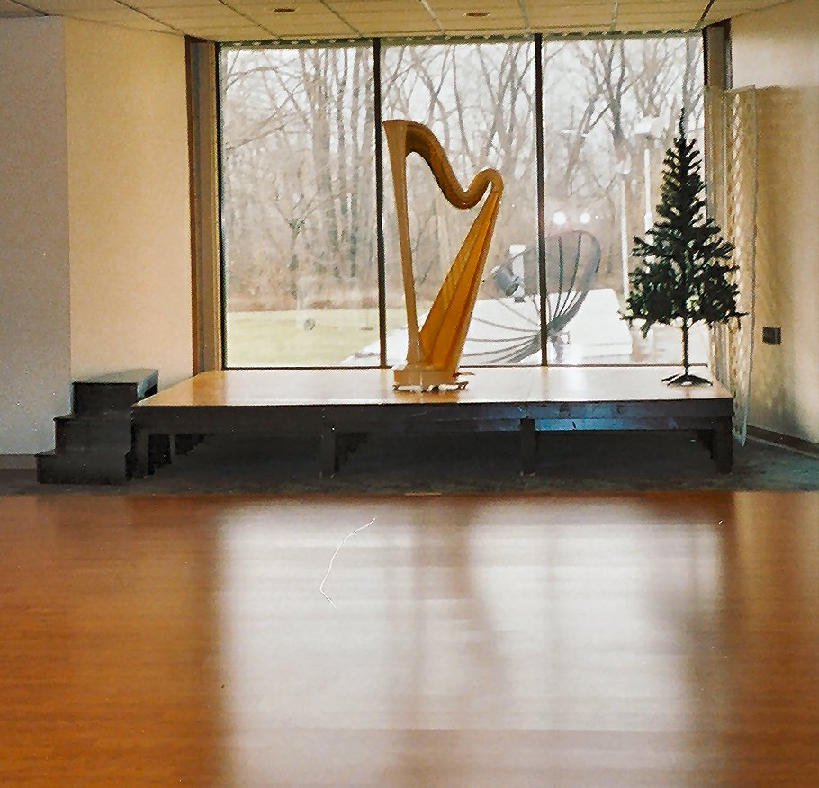 Wedding Harpist Portage