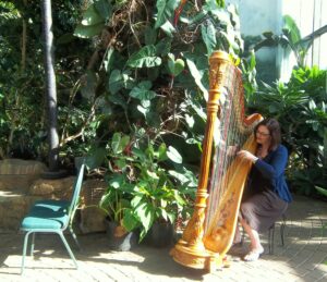 Wedding Ceremony Musicians Quad Cities