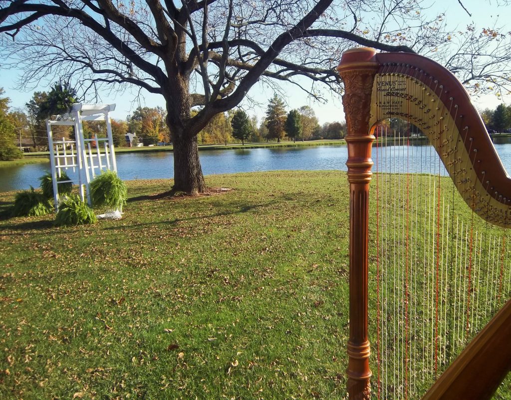 Robinson IL Harpist