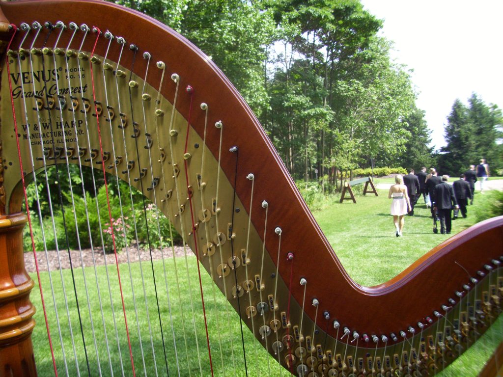 West Michigan Wedding Harpist