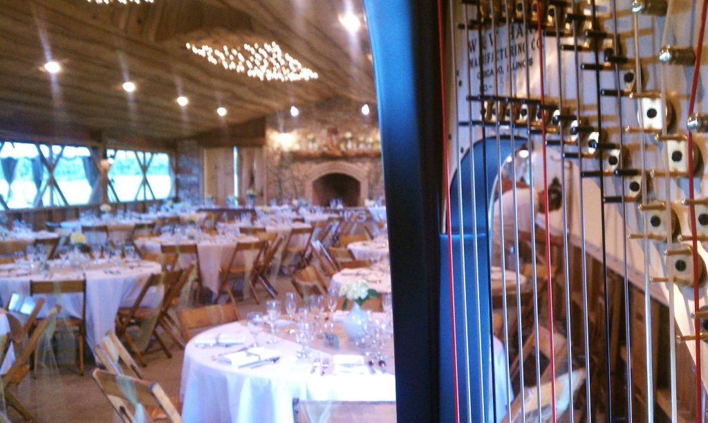 Wedding Reception Musician LaPorte IN