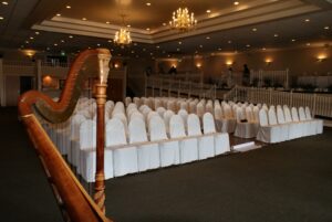 Mishawaka Harpist