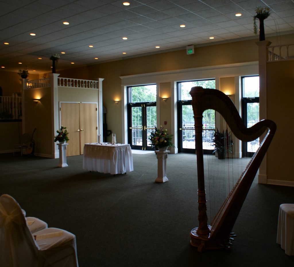 Harpist in South Bend