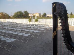 Harpist in Western Ohio