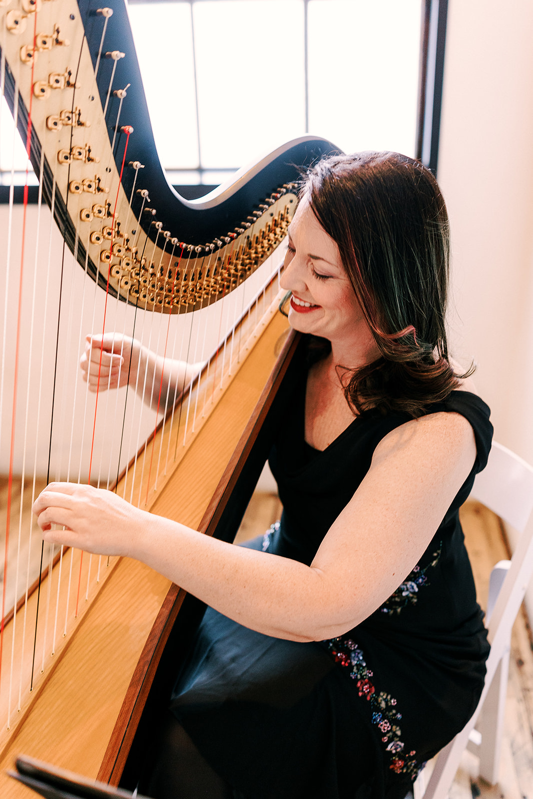 Best Madison WI Harpist