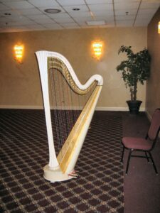 South Chicago Harpist
