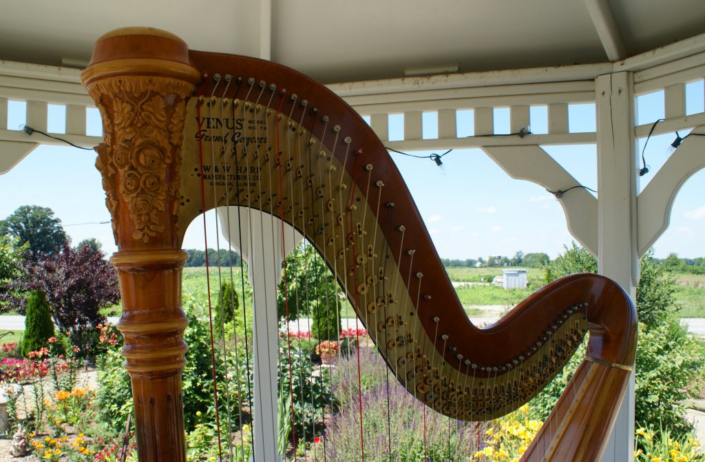 Wedding Harpist Southern Indiana