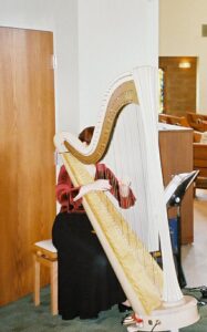Valparaiso Harpist