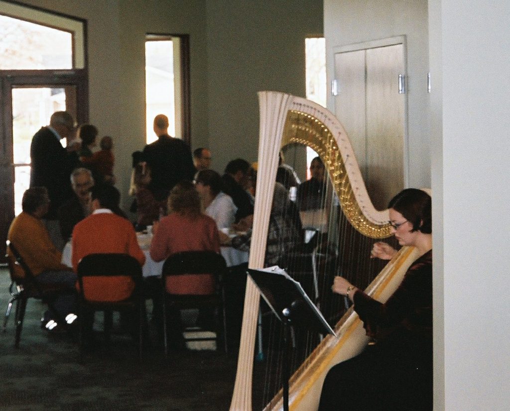 Harpist in Valparaiso IN