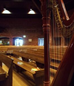 Chicago Catholic Wedding Harpist