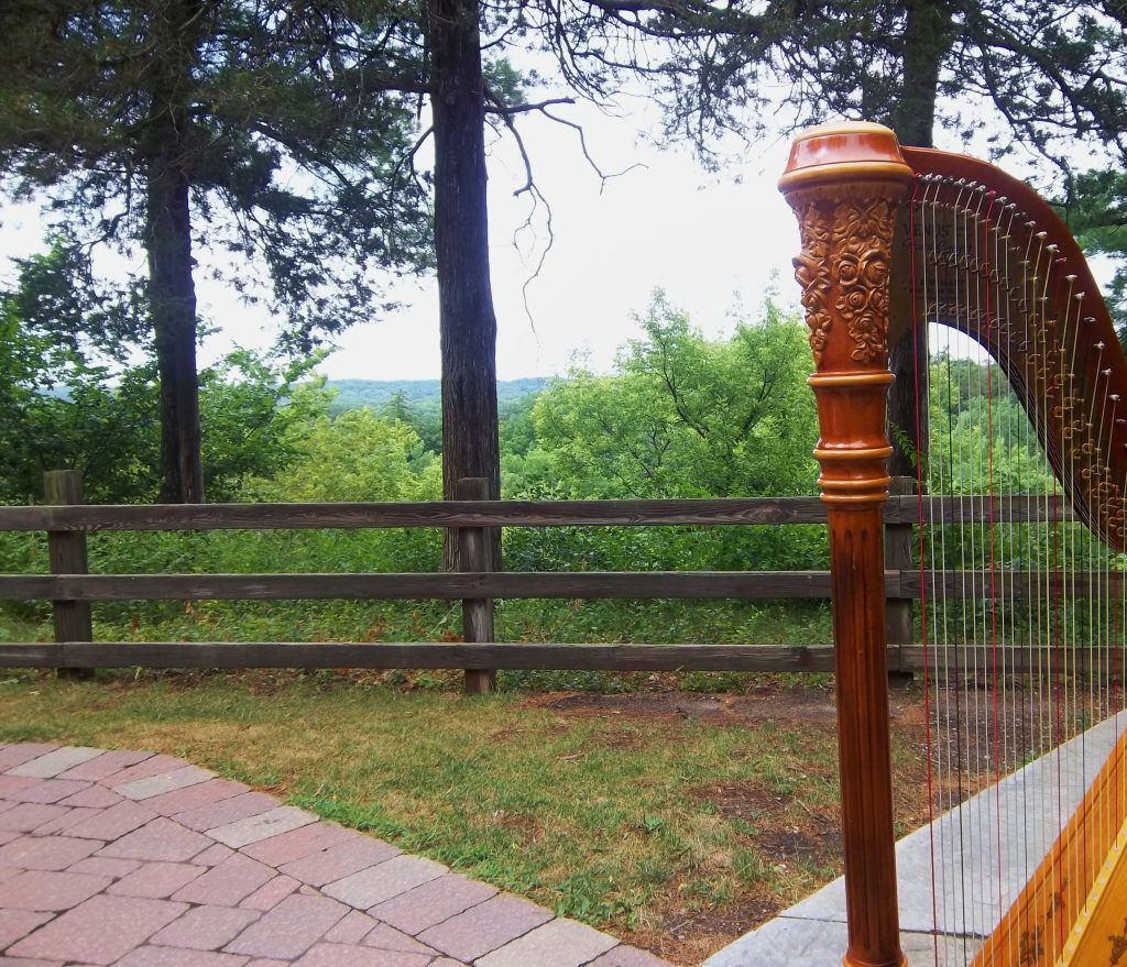 Wedding Music Starved Rock
