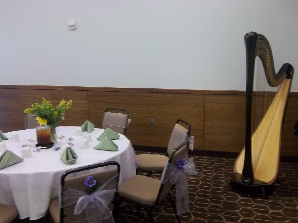 Harpist in Springfield IL