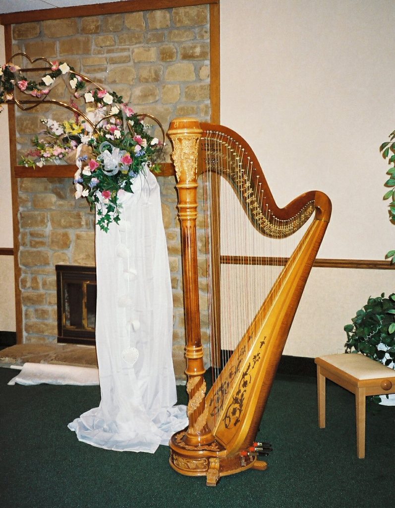 Southern Indiana Wedding Harpist