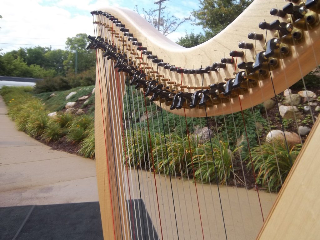 Harpist Battle Creek Michigan