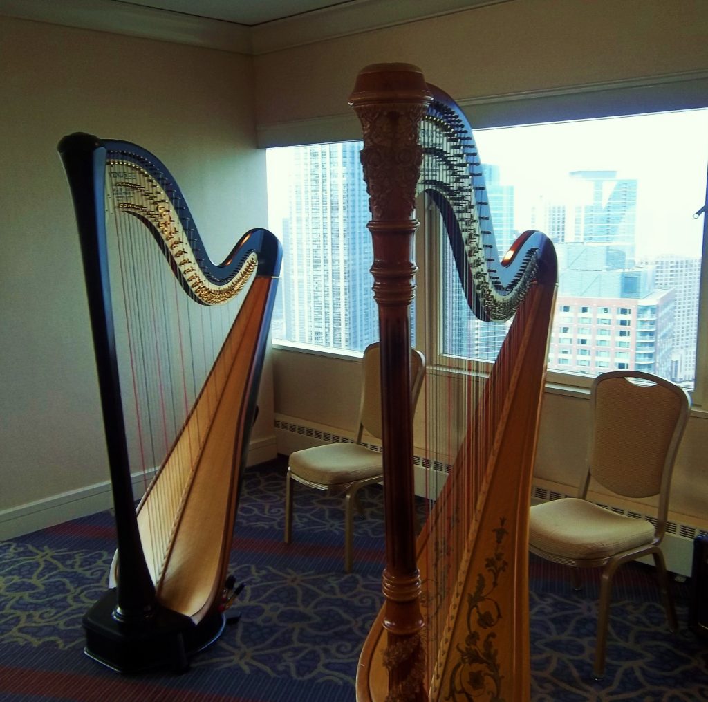 Chicago Harp Duet