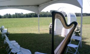Harpist in the Upper Peninsula