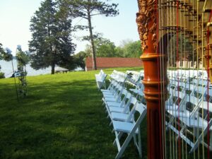 Springfield Illinois Harpist