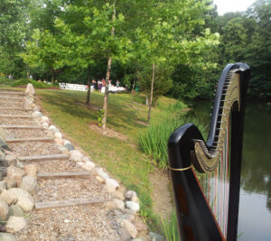 Wedding Harpist Central Indiana