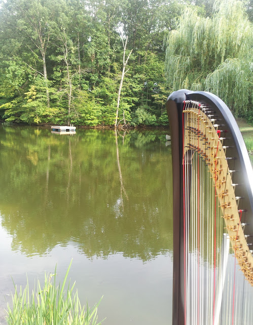 Wabash Indiana Harpist
