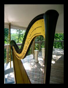 Kalamazoo Harpist