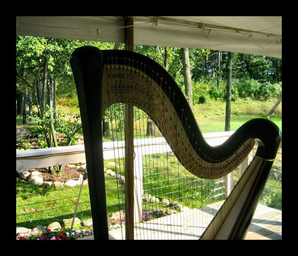 Wedding Harpist Augusta MI