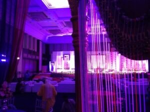Ahmedabad International Harpist